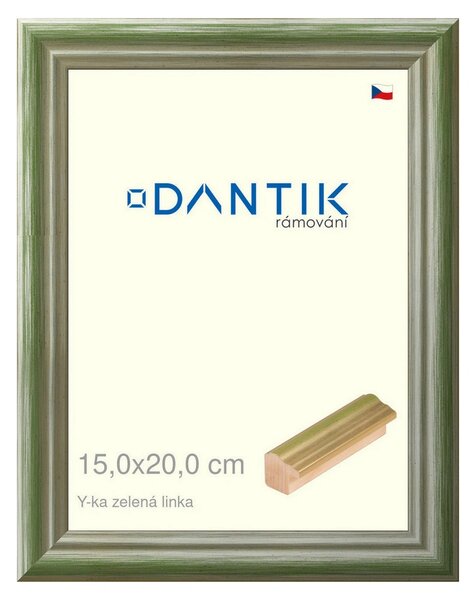 DANTIK rám na obraz 15x20 | Y-ka zelená linka (Sklo Čiré)