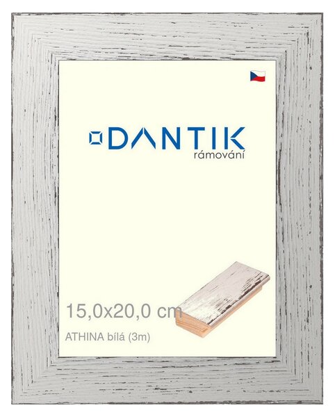DANTIK rám na obraz 15x20 | ATHINA Bílá (Sklo Čiré)