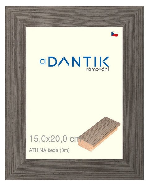 DANTIK rám na obraz 15x20 | ATHINA šedá (Sklo Čiré)