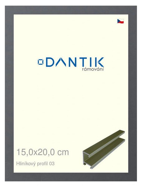 DANTIK rám na obraz 15x20 | ALU Platina matná (Sklo Čiré)