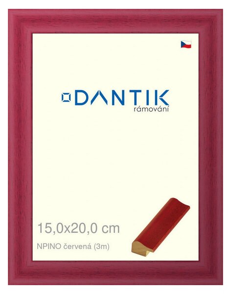 DANTIK rám na obraz 15x20 | NPINO červená (Sklo Čiré)