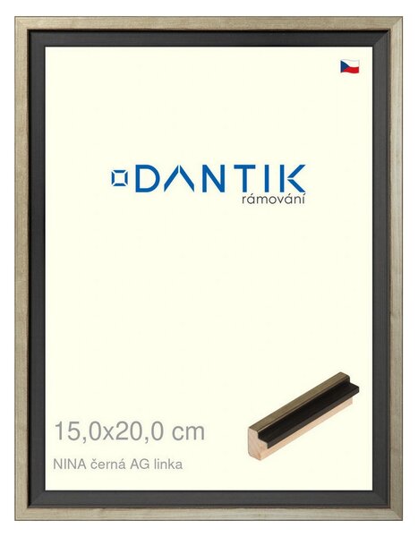 DANTIK rám na obraz 15x20 | NINA černá AG linka (Sklo Čiré)