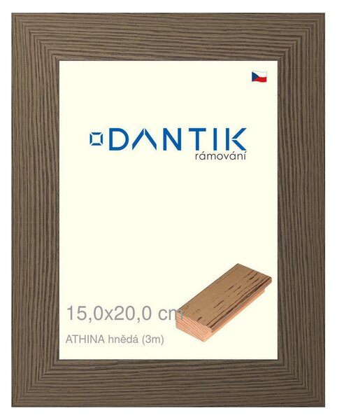 DANTIK rám na obraz 15x20 | ATHINA hnědá (Sklo Čiré)