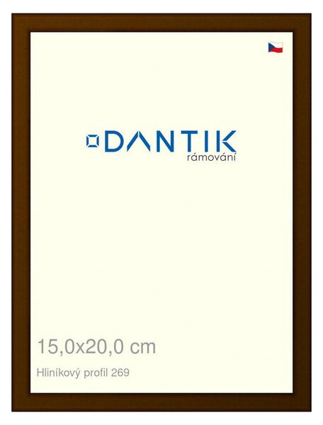 DANTIK rám na obraz 15x20 | ALU Hnědá umbra broušená (Sklo Čiré)