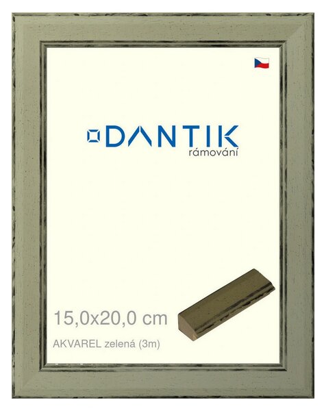DANTIK rám na obraz 15x20 | AKVAREL zelená (Sklo Čiré)