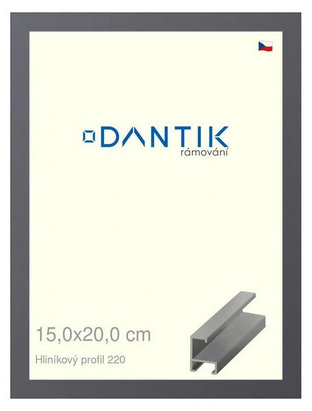 DANTIK rám na obraz 15x20 | ALU Ocelová (Sklo Čiré)