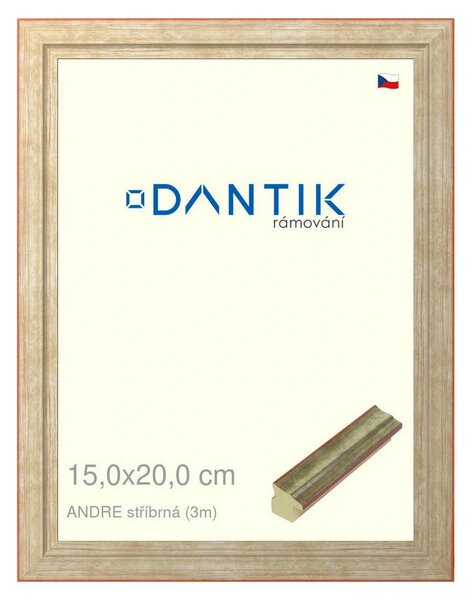 DANTIK rám na obraz 15x20 | ANDRE stříbrná (Sklo Čiré)