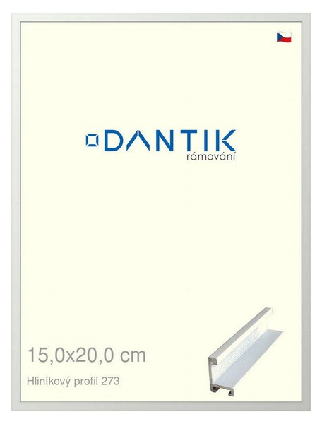 DANTIK rám na obraz 15x20 | ALU Bílá matná (Sklo Čiré)