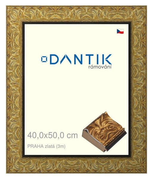 DANTIK rám na obraz 40x50 | PRAHA zlatá (Sklo Čiré)