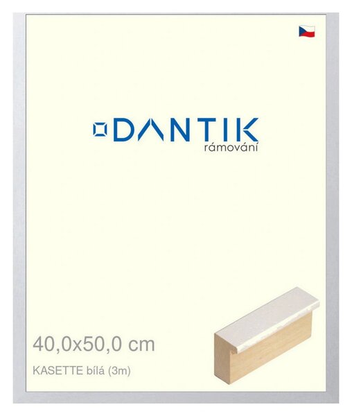 DANTIK rám na obraz 40x50 | KASSETTE bílá (Sklo Čiré)