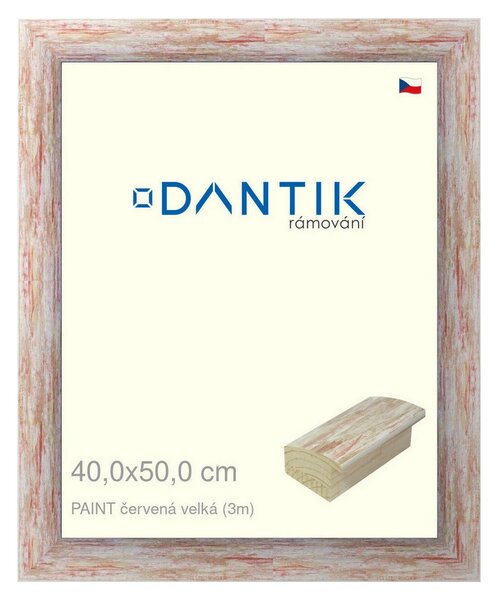 DANTIK rám na obraz 40x50 | PAINT červená velká (Sklo Čiré)