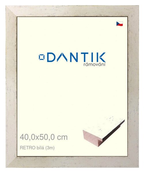 DANTIK rám na obraz 40x50 | RETRO bílá (Sklo Čiré)