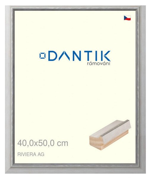 DANTIK rám na obraz 40x50 | RIVIERA AG (Sklo Čiré)