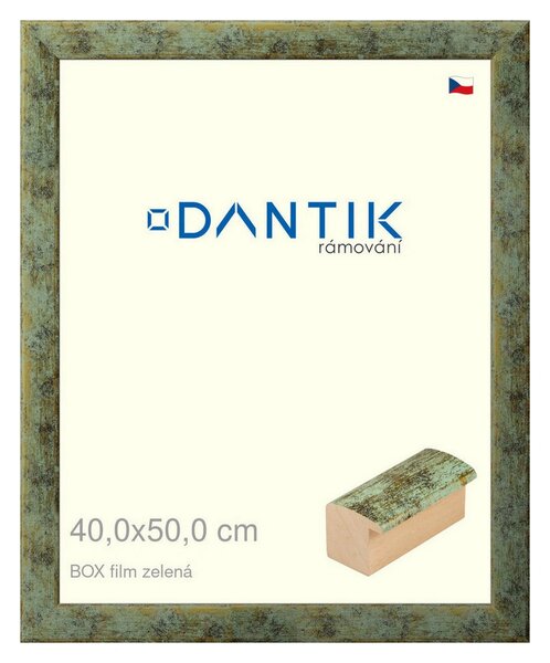 DANTIK rám na obraz 40x50 | BOX filmzelená (Sklo Čiré)