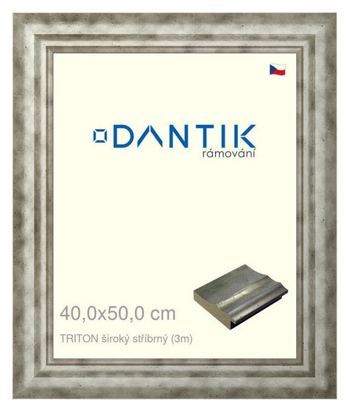 DANTIK rám na obraz 40x50 | TRITON široký stříbrný (Sklo Čiré)