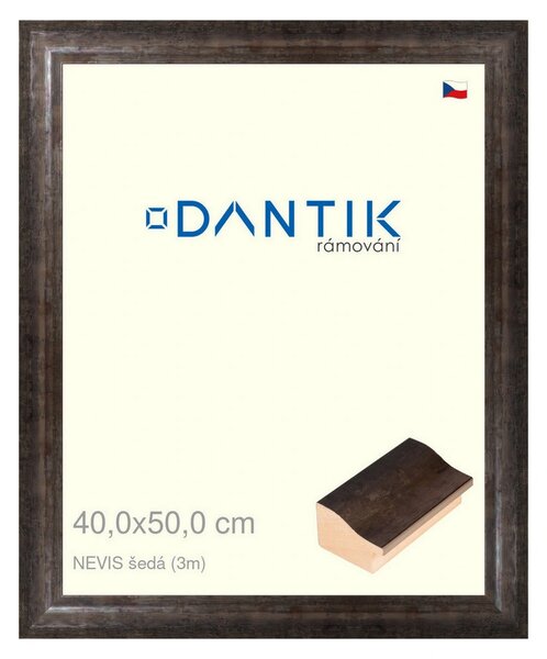 DANTIK rám na obraz 40x50 | NEVIS šedá (Sklo Čiré)