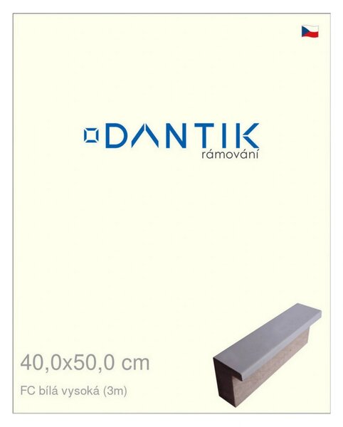 DANTIK rám na obraz 40x50 | FC Bílá vysoká (Plexi Čiré)