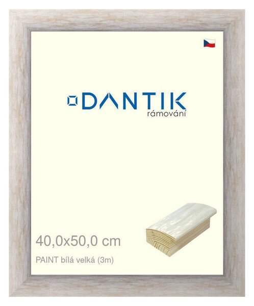 DANTIK rám na obraz 40x50 | PAINT bílá velká (Sklo Čiré)