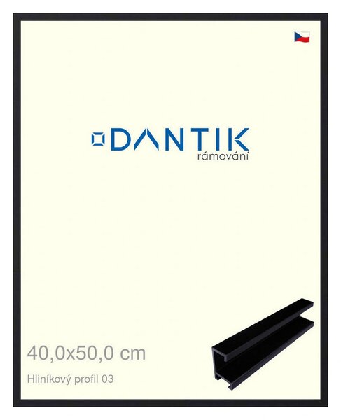 DANTIK rám na obraz 40x50 | ALU Černá matná (Sklo Čiré)