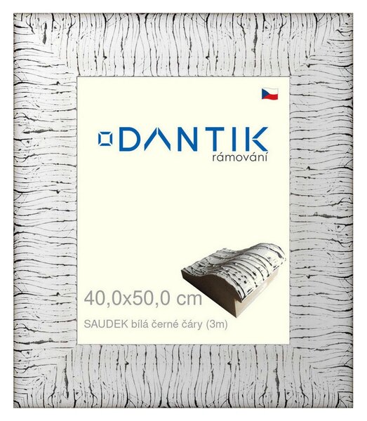 DANTIK rám na obraz 40x50 | SAUDEK Bílá černé čáry (Sklo Čiré)