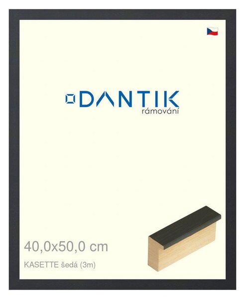 DANTIK rám na obraz 40x50 | KASSETTE šedá (Sklo Čiré)