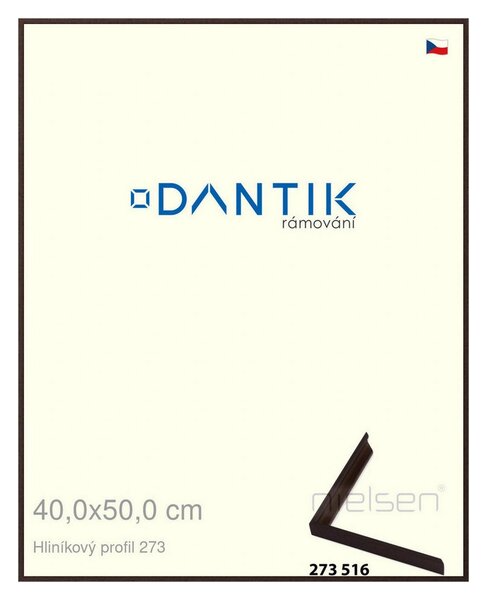 DANTIK rám na obraz 40x50 | ALU Dýha wenge tmavá (Sklo Čiré)