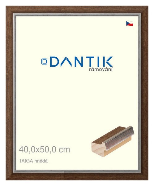 DANTIK rám na obraz 40x50 | TAIGA hnědá (Sklo Čiré)