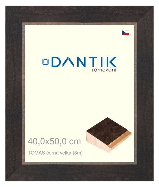 DANTIK rám na obraz 40x50 | TOMAS černá velká (Sklo Čiré)