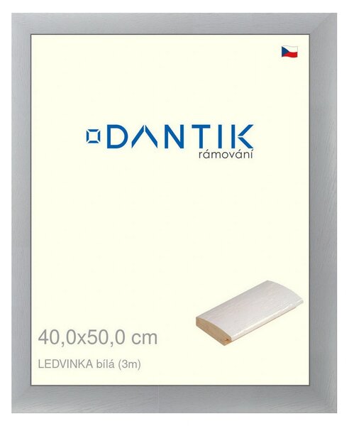 DANTIK rám na obraz 40x50 | LEDVINKA bílá (Sklo Čiré)
