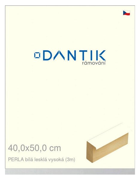 DANTIK rám na obraz 40x50 | PERLA bílá lesklá vysoká (Sklo Čiré)