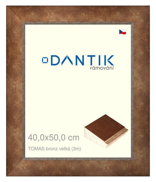 DANTIK rám na obraz 40x50 | TOMAS bronz velká (Sklo Čiré)