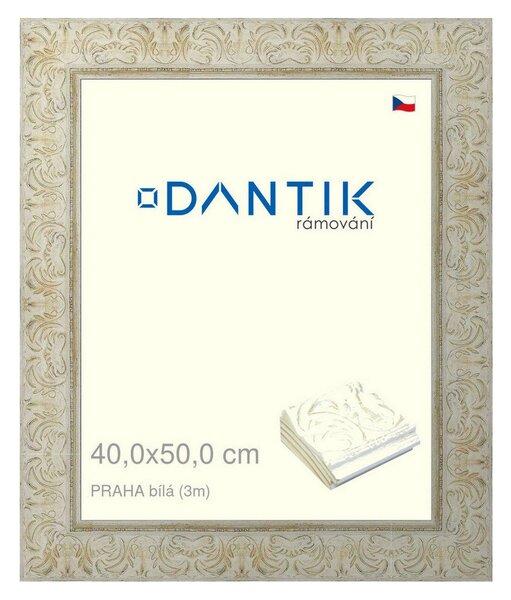 DANTIK rám na obraz 40x50 | PRAHA Bílá (Sklo Čiré)