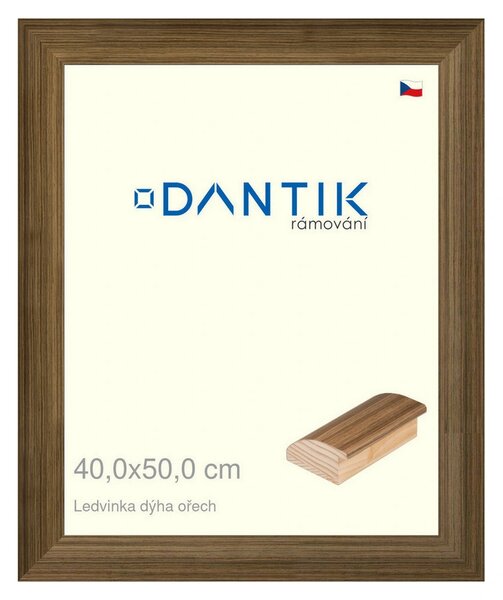 DANTIK rám na obraz 40x50 | LEDVINKA dýha ořech (Sklo Čiré)