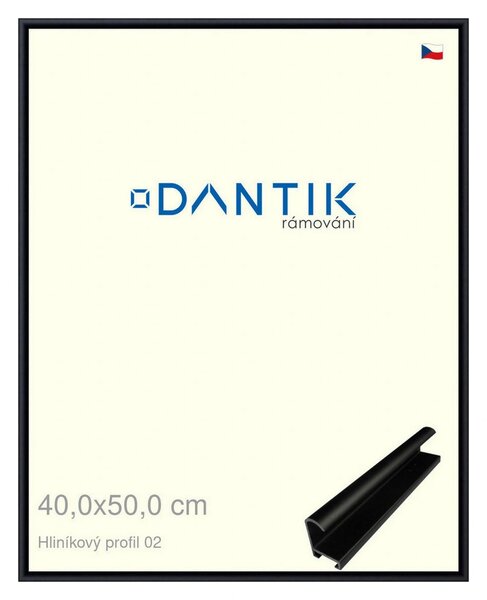 DANTIK rám na obraz 40x50 | ALU Černá matná (Sklo Čiré)