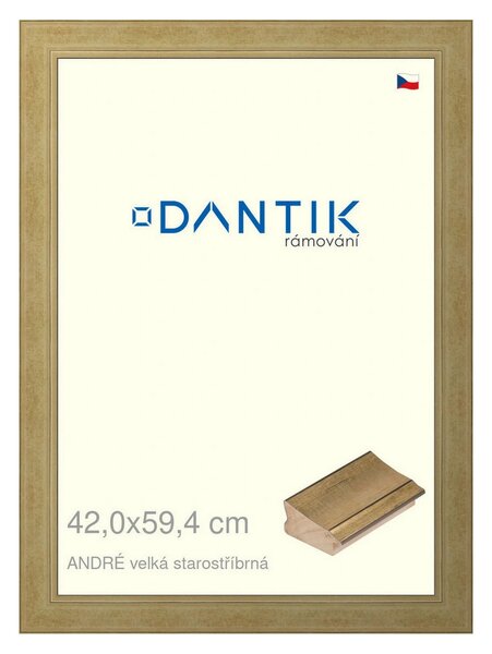 DANTIK rám na obraz 42x59,4 | ANDRÉ velká starostříbrná (Plexi Čiré)