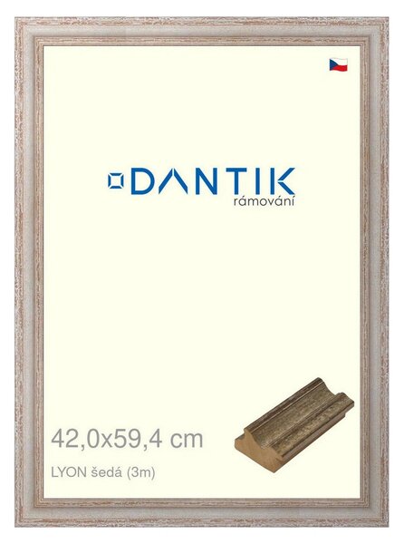 DANTIK rám na obraz 42x59,4 | LYON šedá (Plexi Čiré)