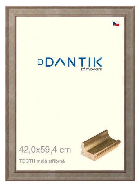 DANTIK rám na obraz 42x59,4 | TOOTH malá stříbrná (Plexi Čiré)