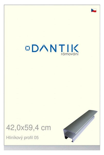 DANTIK rám na obraz 42x59,4 | ALU Stříbrná matná (Plexi Čiré)