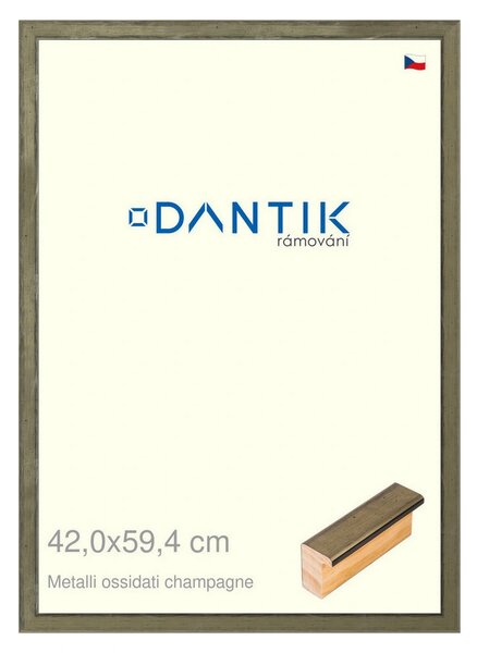 DANTIK rám na obraz 42x59,4 | Metalli oidati champagne (Plexi Čiré)
