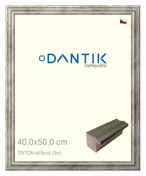 DANTIK rám na obraz 40x50 | TRITON stříbrná (Sklo Čiré)