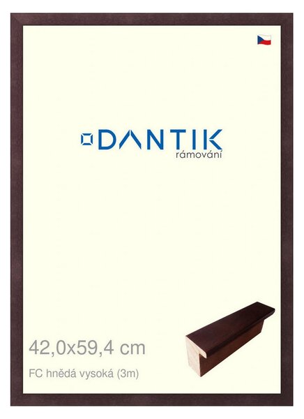 DANTIK rám na obraz 42x59,4 | FC hnědá vysoká (Plexi Čiré)