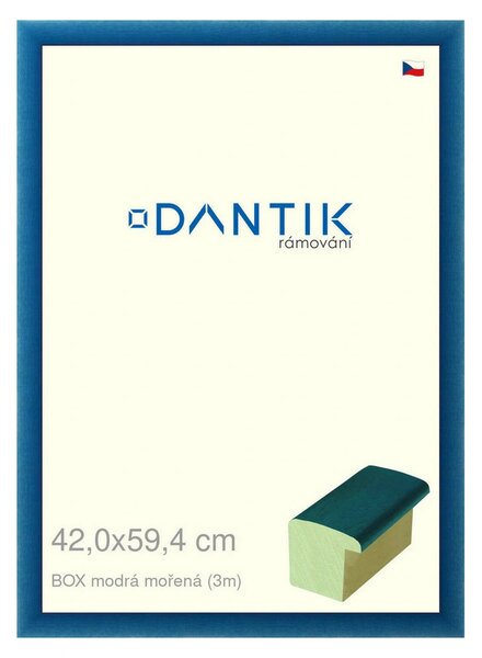 DANTIK rám na obraz 42x59,4 | BOX modrá mořená (Plexi Čiré)