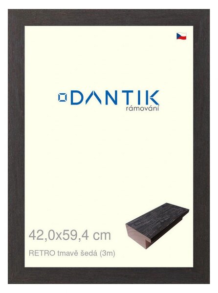 DANTIK rám na obraz 42x59,4 | RETRO tmavě šedá (Plexi Čiré)