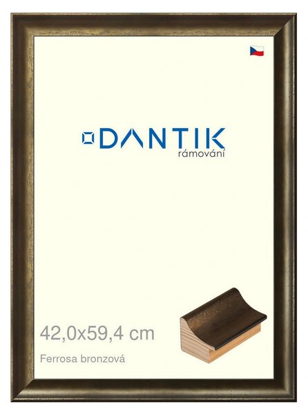 DANTIK rám na obraz 42x59,4 | Ferrosa bronzová (Plexi Čiré)