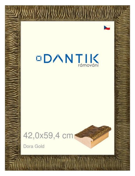 DANTIK rám na obraz 42x59,4 | Dora Gold (Plexi Čiré)