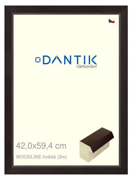DANTIK rám na obraz 42x59,4 | WOODLINE hnědá (Plexi Čiré)