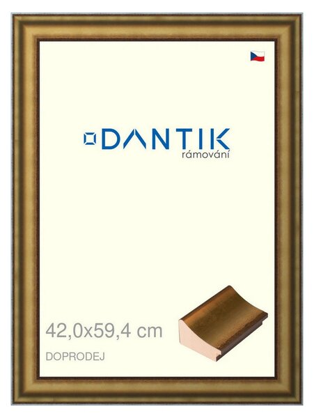 DANTIK rám na obraz 42x59,4 | Doprodej | METAL AU prohlá velká (Plexi Čiré)