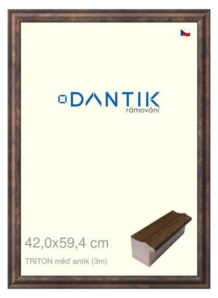 DANTIK rám na obraz 42x59,4 | TRITON měď antik (Plexi Čiré)