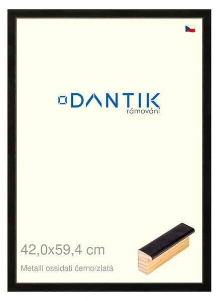 DANTIK rám na obraz 42x59,4 | Metalli oidati černozlatá (Plexi Čiré)