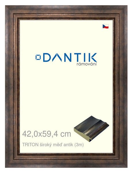 DANTIK rám na obraz 42x59,4 | TRITON široký měď antik (Plexi Čiré)